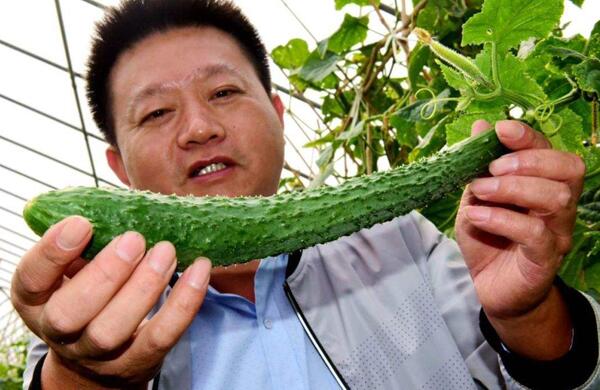 生鮮食材配送為什么大多不能與客戶建立長(zhǎng)期合作？